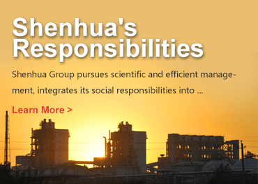 Shenhua's Responsibilities