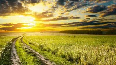 陕西西安新闻联播_陕西大秦网_西安古城热线